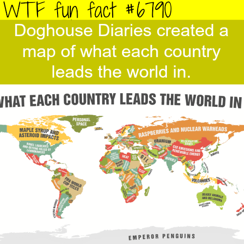 Doghouse Diaries map - WTF fun fact