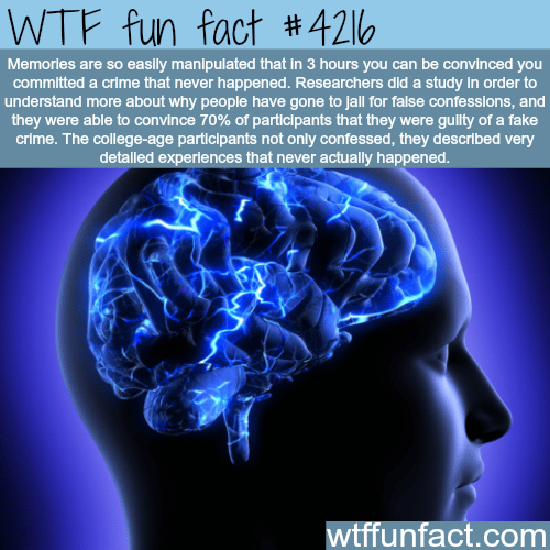 Don’t let memories trick you -  WTF fun facts