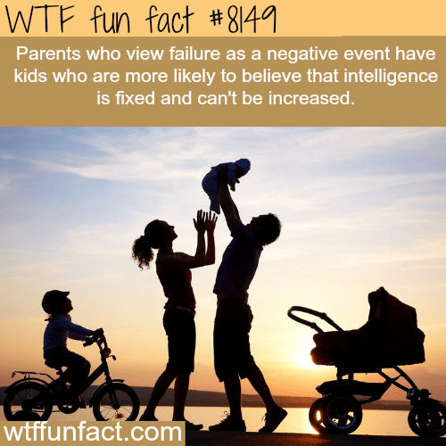 Don’t view failure as a negative event - WTF fun fact