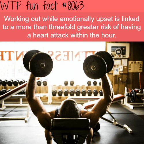 Don’t work out while stressed - WTF fun fact