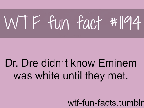 Dr.Dre and Eminem Facts