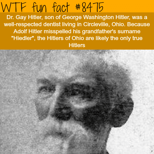 Dr. Gay Hitler - WTF fun facts