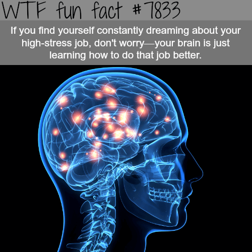 Dreaming about work - WTF fun facts