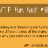 dreaming facts