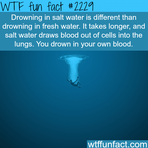 Drowning in salt water vs fresh water - WTF fun facts