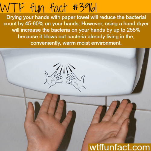 Drying your hands with paper towel vs hand dryer - WTF fun facts