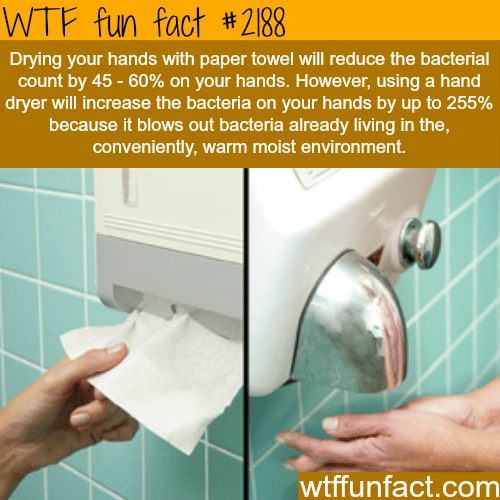Drying your hands with paper towel - WTF fun facts