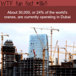 dubai has 24 of all the cranes in the world wtf