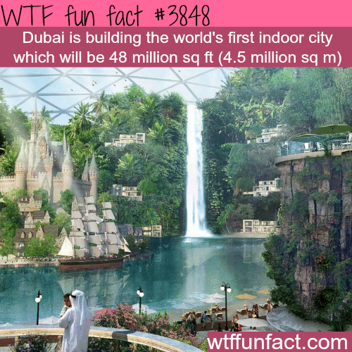 Dubai is building an indoor city - WTF fun facts 