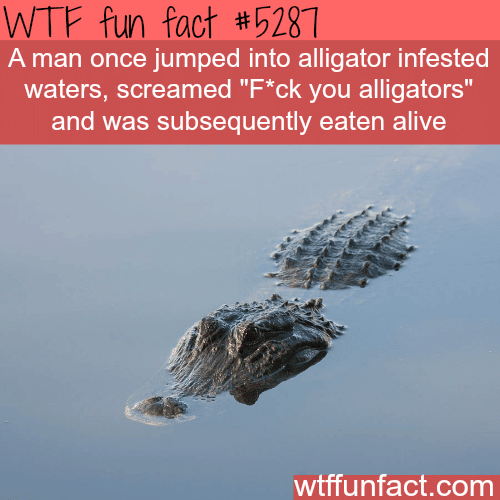 https://wtffunfact.com/wp-content/uploads/2019/06/fun-facts-dumb-ways-to-die-wtf-fun-facts.png
