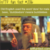 dumbledore bumblebee