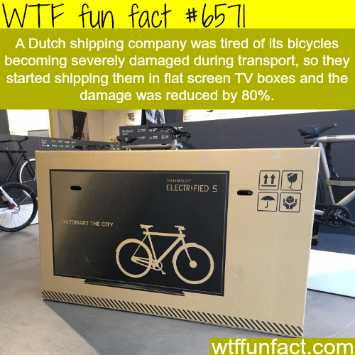 Dutch company ships bikes in flat screen TV boxes - WTF fun facts