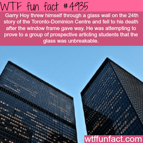 Dying to prove yourself wrong - WTF fun facts  