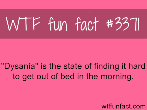 “Dysania” -  WTF fun facts