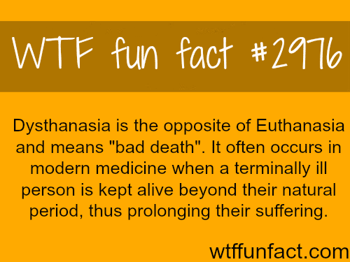 Dysthanasia meaning -  WTF fun facts