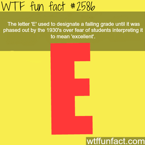 E stands for Excellent - WTF fun facts