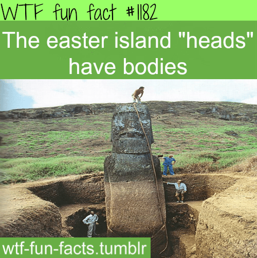 easter island head bodies