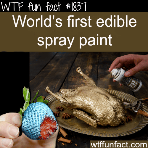 edible spray paint - WTF fun facts