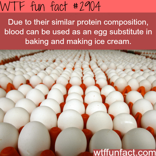 Eggs and blood -  WTF fun facts