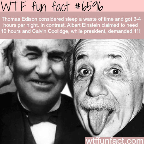 Einstein needed 10 hours of sleep a day  - WTF fun facts