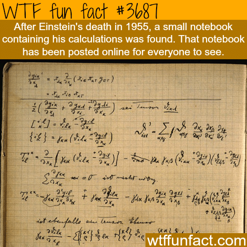 Einstein’s notebook -  WTF fun facts