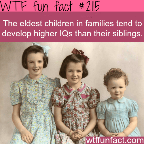 Eldest children develop higher IQs - WTF fun facts