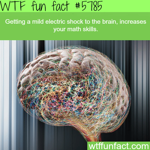 Electric shocks to the brain can improve your math skills - WTF fun facts