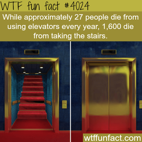 Elevators vs stairs