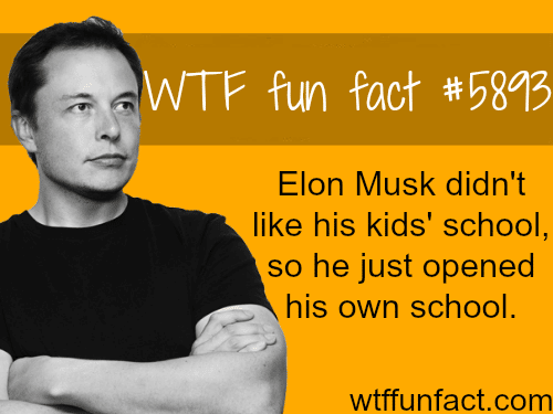 Elon Musk opened his own school - WTF fun facts
