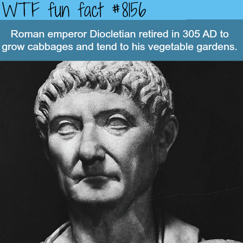 Emperor Diocletian - WTF fun fact
