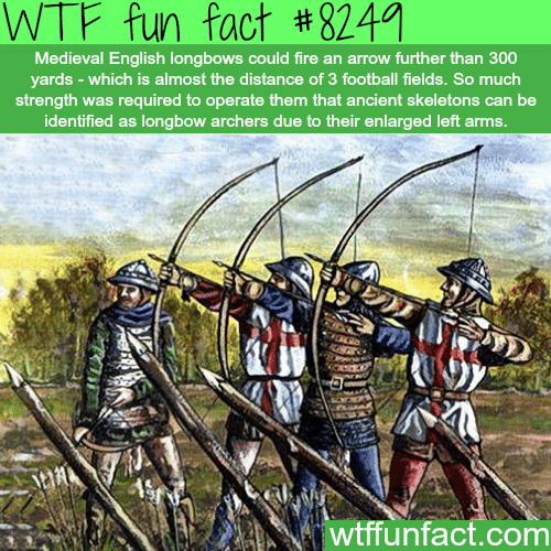 English longbow facts - WTF fun facts