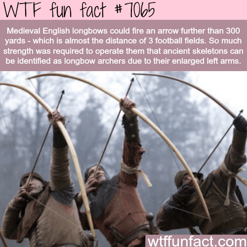 English Longbows - WTF fun facts