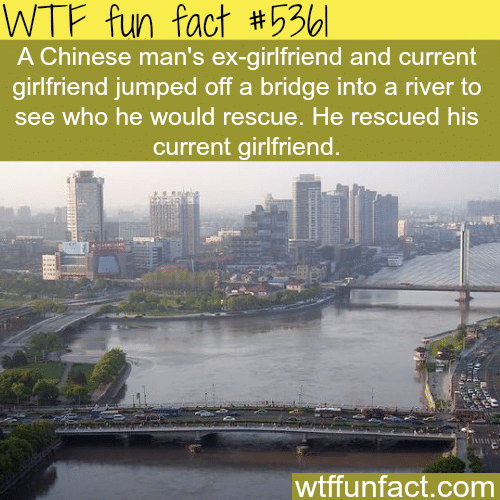 Ex-girlfriend and current girlfriend jump off a bridge - WTF fun facts
