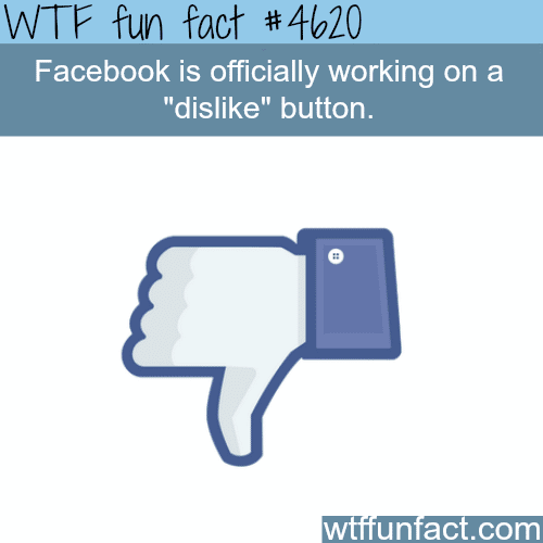 Facebook is planning to add a dislike button - WTF fun facts