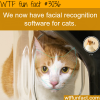 facial recognition software for cats