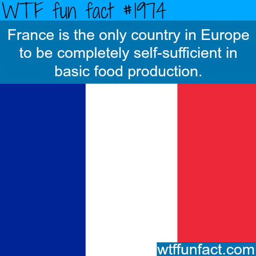 Facts about France - WTF fun facts