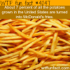 facts about mcdonalds fries