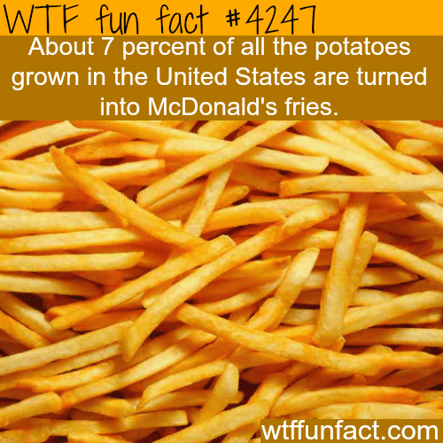 Facts about McDonald’s fries -  WTF fun facts
