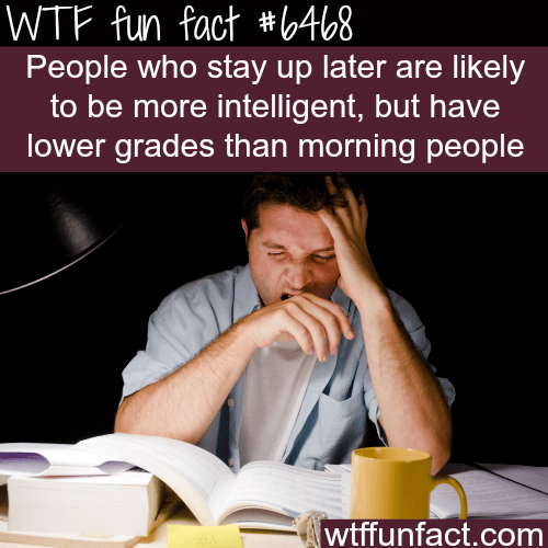 Facts about night owls - WTF fun facts