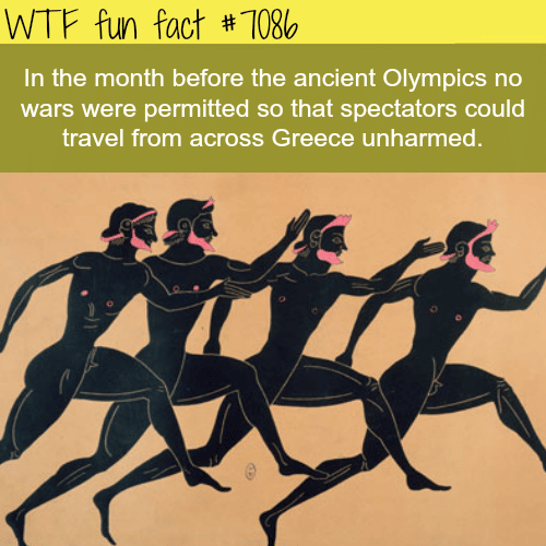 Facts about the ancient Olympics - WTF fun facts