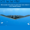 facts about the b 2 stealth bomber wtf fun facts