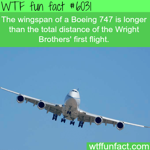 Facts about the Boeing 747 - WTF fun facts