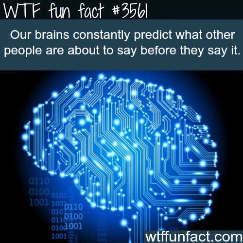 Facts about the brain  - WTF fun facts