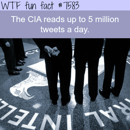 Facts about the CIA - WTF fun facts