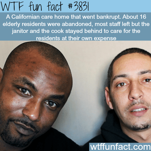 Facts that proves there is still some humanity - WTF fun facts 
