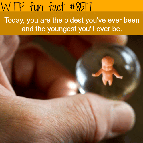Facts - WTF fun facts