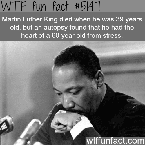 Facts you never knew about Martin Luther King - WTF fun facts