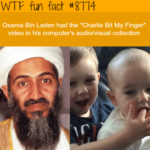 Facts you never knew about Osama Bin Laden - WTF fun facts