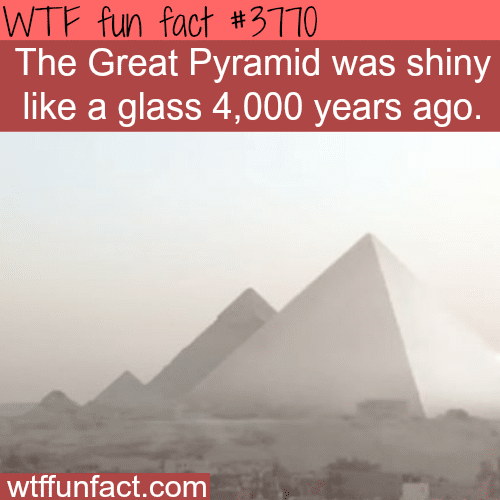 Facts you never knew about the Pyramids  - WTF fun facts
