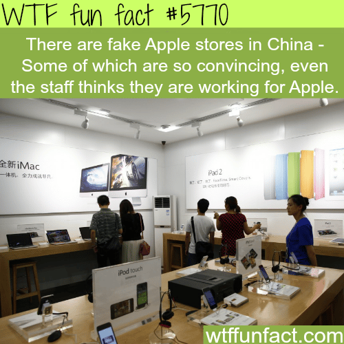 Fake Apple stores in China - WTF fun facts